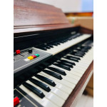 Orgao Gambitt Dx-175r com Banqueta Musicalle - Seminovo Orgao Gambitt Dx-175r com Banqueta Musicalle - Seminovo