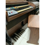 Orgao Gambitt Dx 160r Plus - Seminovo