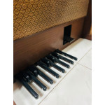 Orgao Gambitt Dx-175r com Banqueta Musicalle - Seminovo Orgao Gambitt Dx-175r com Banqueta Musicalle - Seminovo