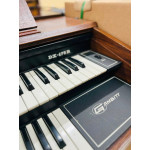 Orgao Gambitt Dx-175r com Banqueta Musicalle - Seminovo Orgao Gambitt Dx-175r com Banqueta Musicalle - Seminovo