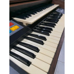 Orgao Gambitt Dx 160r Plus - Seminovo