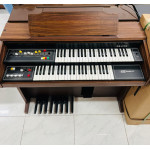Orgao Gambitt Dx-175r com Banqueta Musicalle - Seminovo Orgao Gambitt Dx-175r com Banqueta Musicalle - Seminovo