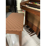 Orgao Gambitt Bx30 - Seminovo