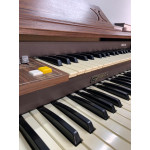 Orgao Gambitt Bx30 - Seminovo