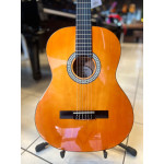 Violao Giannini Start N14 Nt Ny