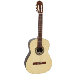 VIOLAO GIANNINI NW1 IMBUIA NY EL ACUSTICO NS-23495