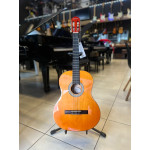 Violao Giannini Start N14 Nt Ny
