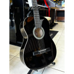 VIOLAO GIANNINI N14 NY PRETO