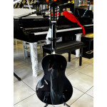 VIOLA GIANNINI ACUSTICA PTO VS14BK