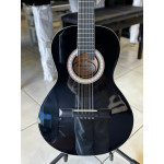 VIOLA GIANNINI ACUSTICA PTO VS14BK