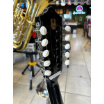 VIOLA GIANNINI ACUSTICA PTO VS14BK