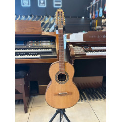 VIOLA GIANNINI TEMPERADA PANTANAL OURO PRETO ACUSTICA