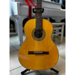 Violao Giannini Nacional C/capa - Seminovo