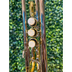 Trompete Harlem Sound em C Niquelado - Htr-11n