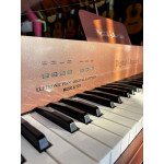 Piano Digital Caudinha Digital Acordes Rose