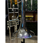 Trombone Weril F670 Sib Niq Longo Profissional - Seminovo