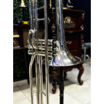 Trombone Weril F670 Sib Niq Longo Profissional - Seminovo