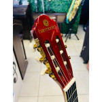 Violao Harmonics Classic Guitar Nylon Estudo - Seminovo