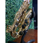 Saxofone Alto Harmonics Laq - Seminovo 
