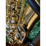 Saxofone Alto Harmonics Laq - Seminovo 