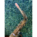 Saxofone Alto Harmonics Laq - Seminovo 