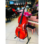 Violoncelo Jahnke 4/4 - Seminovo