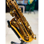 Saxofone Alto Jahnke - Seminovo 
