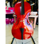 Violoncelo Jahnke 4/4 - Seminovo