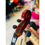 Violoncelo Jahnke 4/4 - Seminovo
