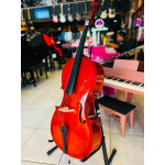 Violoncelo Jahnke 4/4 - Seminovo