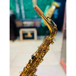Saxofone Alto Jahnke - Seminovo 