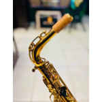 Saxofone Alto Jahnke - Seminovo 