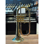 Flugelhorn Jahnke Jtr012 3p Bb Rose Brass