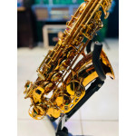 Saxofone Alto Jahnke - Seminovo 