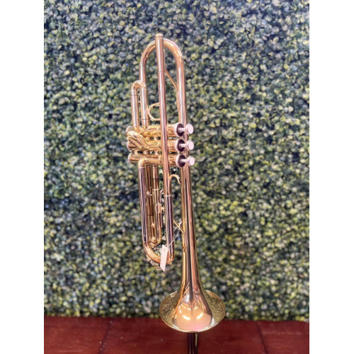 Trompete Jupiter 500 Lacquer Bb Laq Case/bocal - 29800 Elomusical