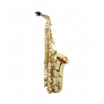 SAXOFONE ALTO JUPITER JAS510A GOLD LACQUER LAQ