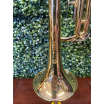 Trompete Jupiter 500 Lacquer Bb Laq Case/bocal - 29800 Elomusical