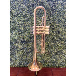 Trompete Jupiter 500 Lacquer Bb Laq Case/bocal - 29800 Elomusical