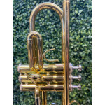 Trompete Jupiter 500 Lacquer Bb Laq Case/bocal - 29800 Elomusical