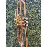 Trompete Jupiter 500 Lacquer Bb Laq Case/bocal - 29800 Elomusical