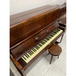 Piano Armario M. Schwartzmann Acustico- Seminovo