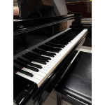 Piano Yamaha de Cauda Acustico 1,60 Preto Brilho - Seminovo