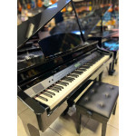 Piano Cauda Medeli Grand 510 Preto - Consignado