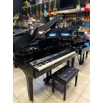 Piano Cauda Medeli Grand 510 Preto - Consignado