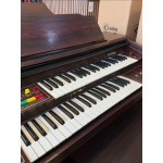 Orgao Gambitt Dx250r com Banqueta - Seminovo
