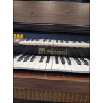 Orgao Minami Md7000 Amadeirado - Seminovo