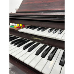 Orgao Gambitt Dx250r com Banqueta - Seminovo