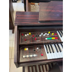 Orgao Gambitt Dx250r com Banqueta - Seminovo