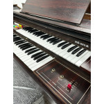 Orgao Gambitt Dx250r com Banqueta - Seminovo