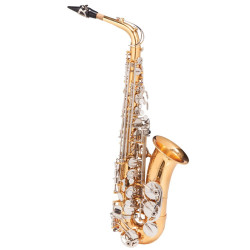 SAXOFONE ALTO MICHAEL WASM49 LAQ/NIQ - 10086